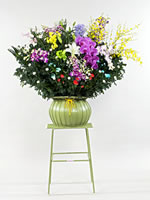 生花ダルマ篭盛花