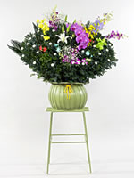 生花ダルマ篭盛花