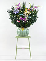 生花ダルマ篭盛花